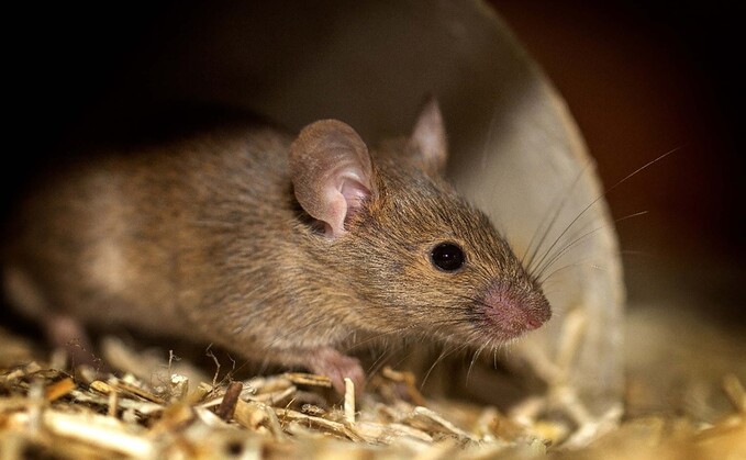 Farmers are being encouraged to take part in a pest control survey ahead of new rodenticide regulations