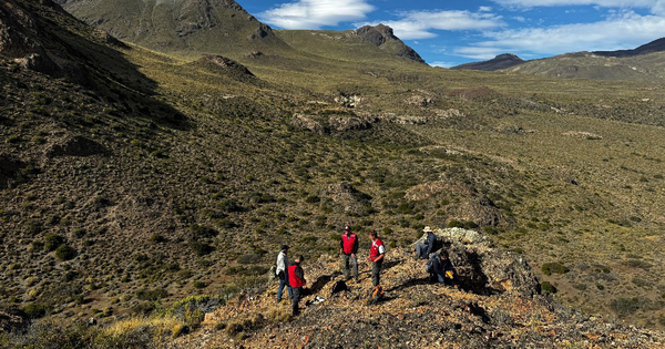 Mining Briefs: NexGen, New Murchison, and more