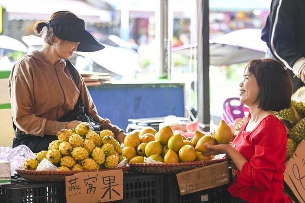 EconomyInFocus | Land-sea trade corridor promotes export and import of agricultural products between China and Southeast Asia