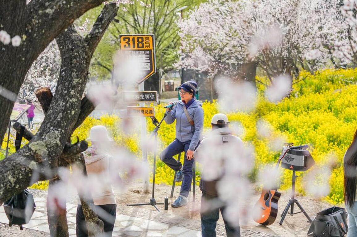 InXizang | Nyingchi in SW China's Xizang boosts tourism with flower viewing