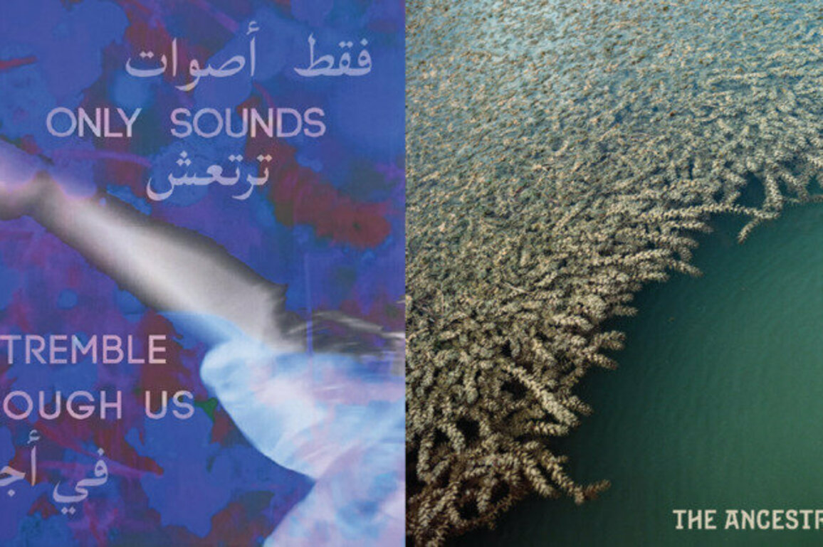 Sharjah Art Foundation releases two vinyl Albums for Sharjah Biennial 16