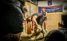 Welsh shearer achieves new British Shearing Record