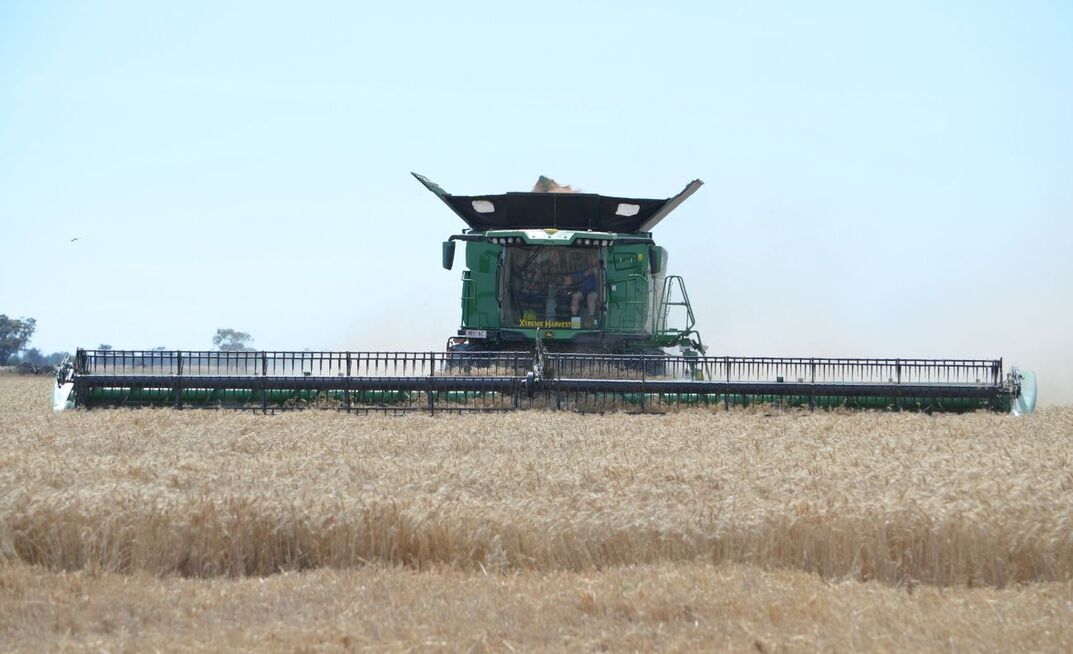 WA growers have had a solid run, with production over the last four out of five years surpassing previous records.