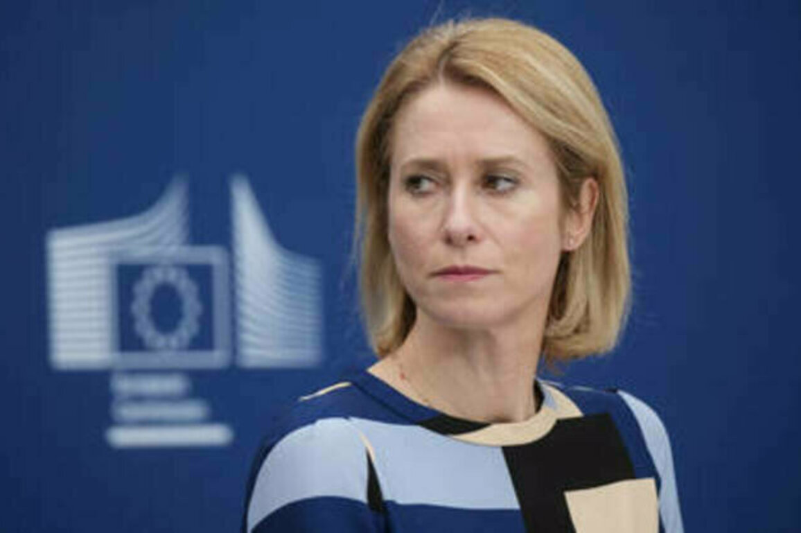 EU weighing restrictions on Russian diplomats - media