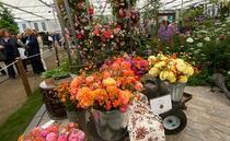 RHS Chelsea honours flower farmers