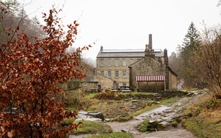 National Trust sets new goal to create 250,000 hectares of nature-rich landscapes