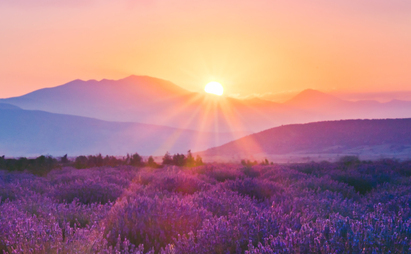 The relationship advantage: helping advisers deliver value beyond portfolio returns