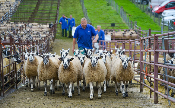 Marts report strong throughput during pandemic