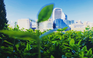 Over 600 financial firms now committed to PCAF carbon reporting standard