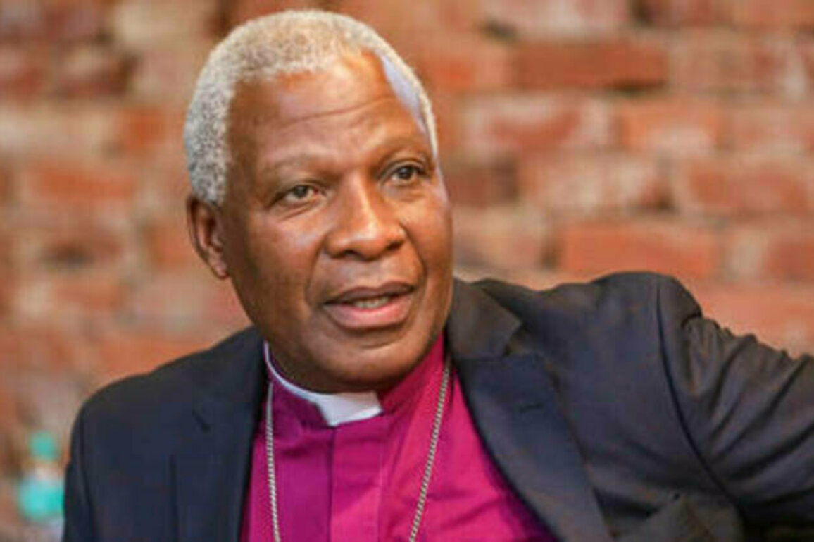 South African unity government infighting threatens confidence in democracy - bishop