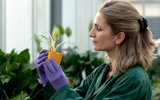 How L'Oréal is harnessing nature to move beyond petrochemicals in cosmetics