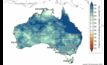  The BOM has forecast summer to be wetter than average for Dec-Feb. Image courtesy BOM.