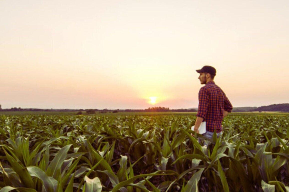 Bulgaria: Farmers Have Until January 5 to Choose Their Tax Regime