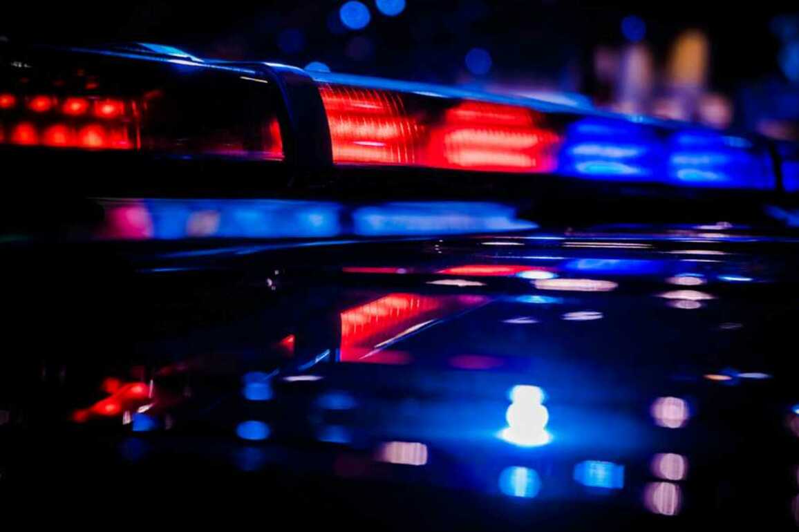 At least 3 killed, 14 injured in shooting at New Mexico park