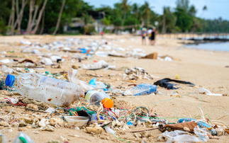 Partner Insight: From Oceans to AI - EOS's Q3 Report Highlights Systemic Risks for Long-Term Investors