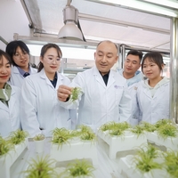 CHINA-TIANJIN-PLANT LEAVES-AIRBORNE MICROPLASTICS (CN)