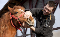 BC-backed VetPartners acquires Clyde Veterinary Group