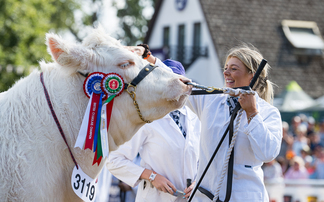 Charolais takes the inter-breed beef crown at Royal Welsh Show