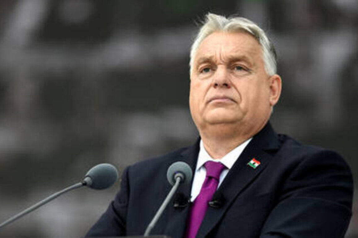 Budapest will keep fighting EU's Russian energy ban - Orban