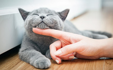 EQT Growth leads $350m series-D for pet insurer Bought By Many