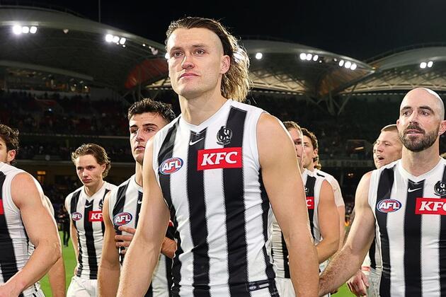 AFL 2025- Darcy Moore comes out in support of Mitch Brown, first AFL player to come out as bisexual