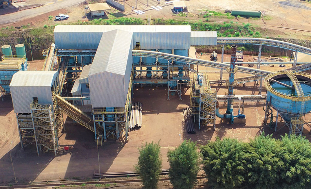 Planta da Buritirama manganês