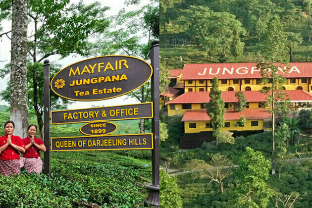 Mayfair Hotels & Resorts acquires the historic Jungpana Tea Garden