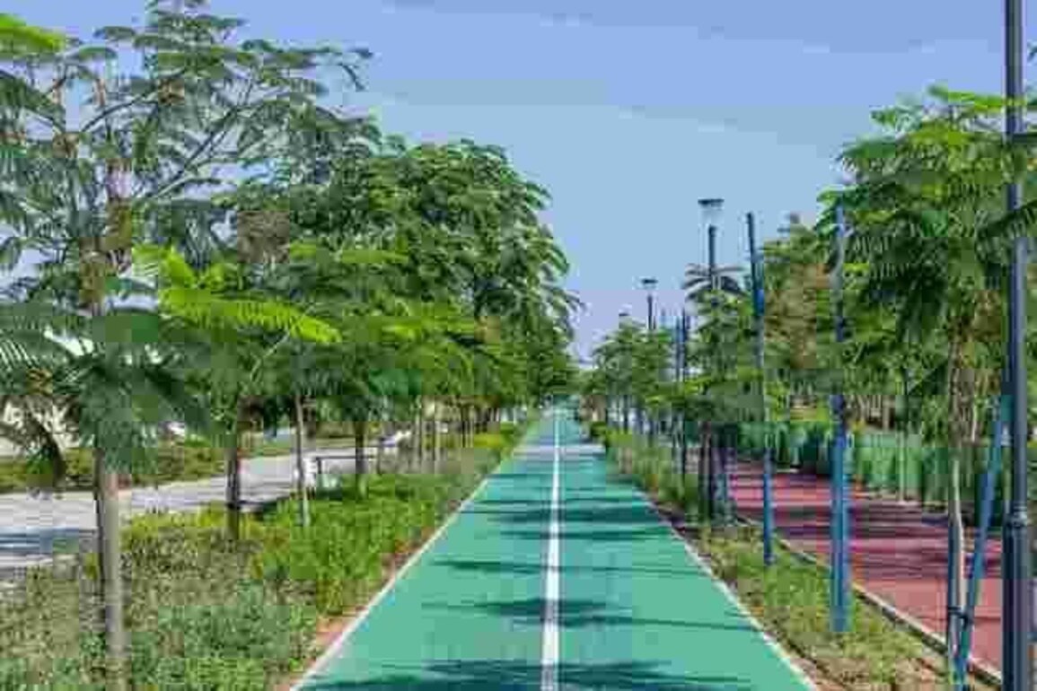 Abu Dhabi City Municipality to plant 5,000 new trees in 2026 to enhance sustainability