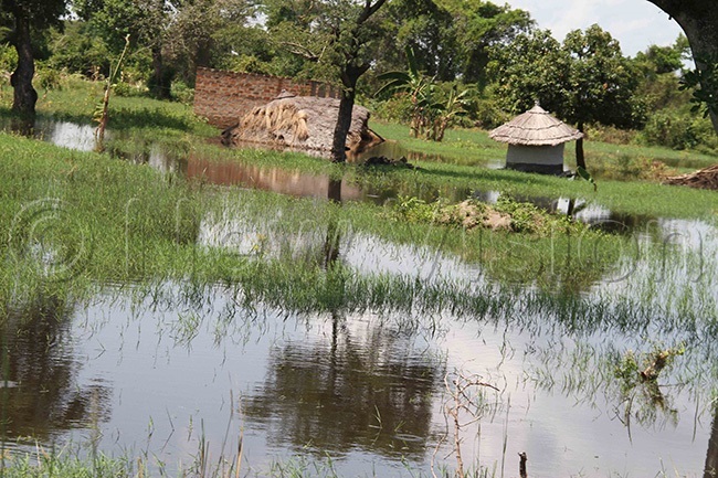 Floods devastate Dokolo district - New Vision Official