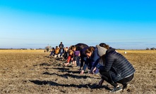 Heritage trial shows evolution of Wimmera crop varieties