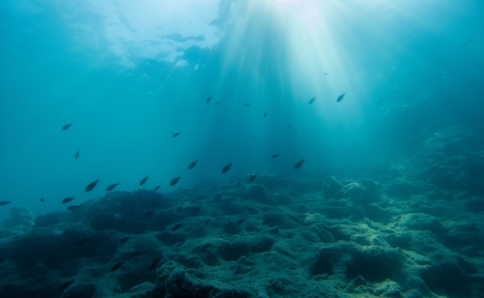 The White House is positioning deep-sea mining as a source of secure supply.