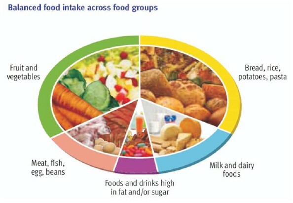 nutrient-requirements-by-age-group-new-vision-official