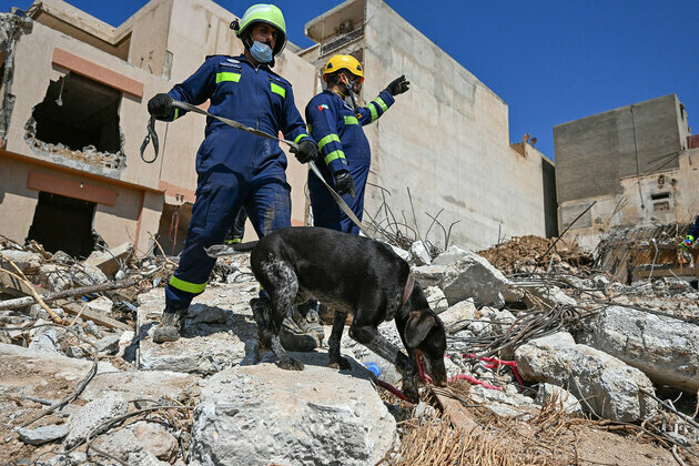 UAE's humanitarian drive: Urgent action and response in Libya
