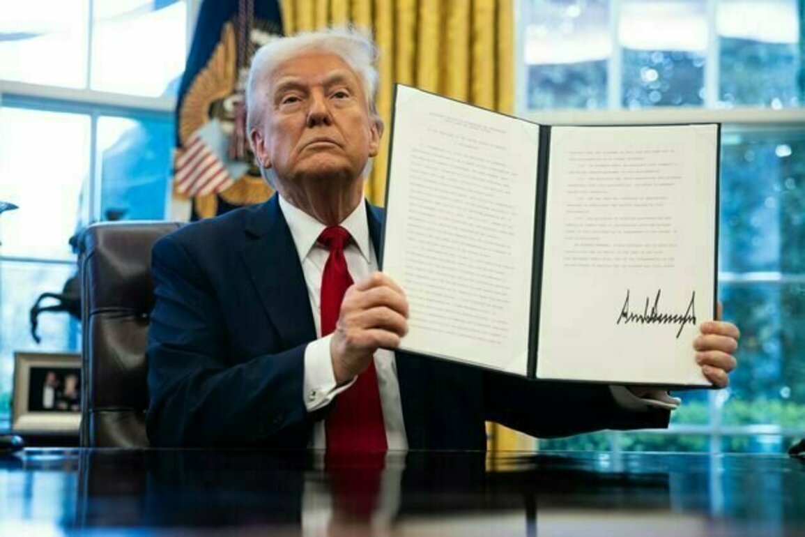 Trump's 'Liberation Day': why the US is on a war footing over tariffs and mass deportations