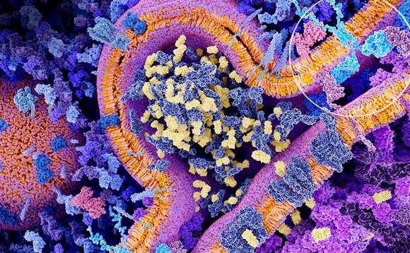 China's JW Therapeutics trades up after $300m Hong Kong IPO