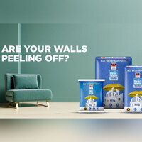 Ever Wonder Why Fresh Paint Starts Peeling? Your Walls Might Be Fine but Are They Built to Last?