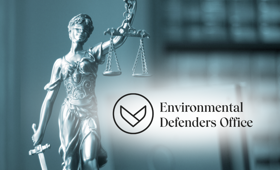 Environmental Defenders Office's financial report reveals legal bill damage