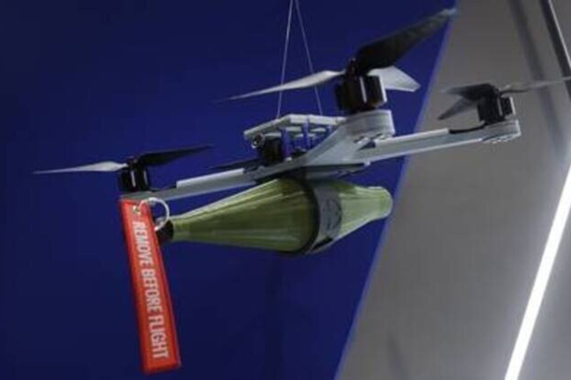 German MOD backs $1bn drone deals after 'disastrous' tests - media