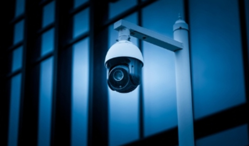 © TPCX / Shutterstock.com.