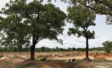  The location of the Namdini starter pit in northern Ghana