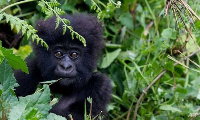 Hotspots, not trouble spots: Africa seeks tourism boom Hotspots, not trouble spots: Africa seeks tourism boom