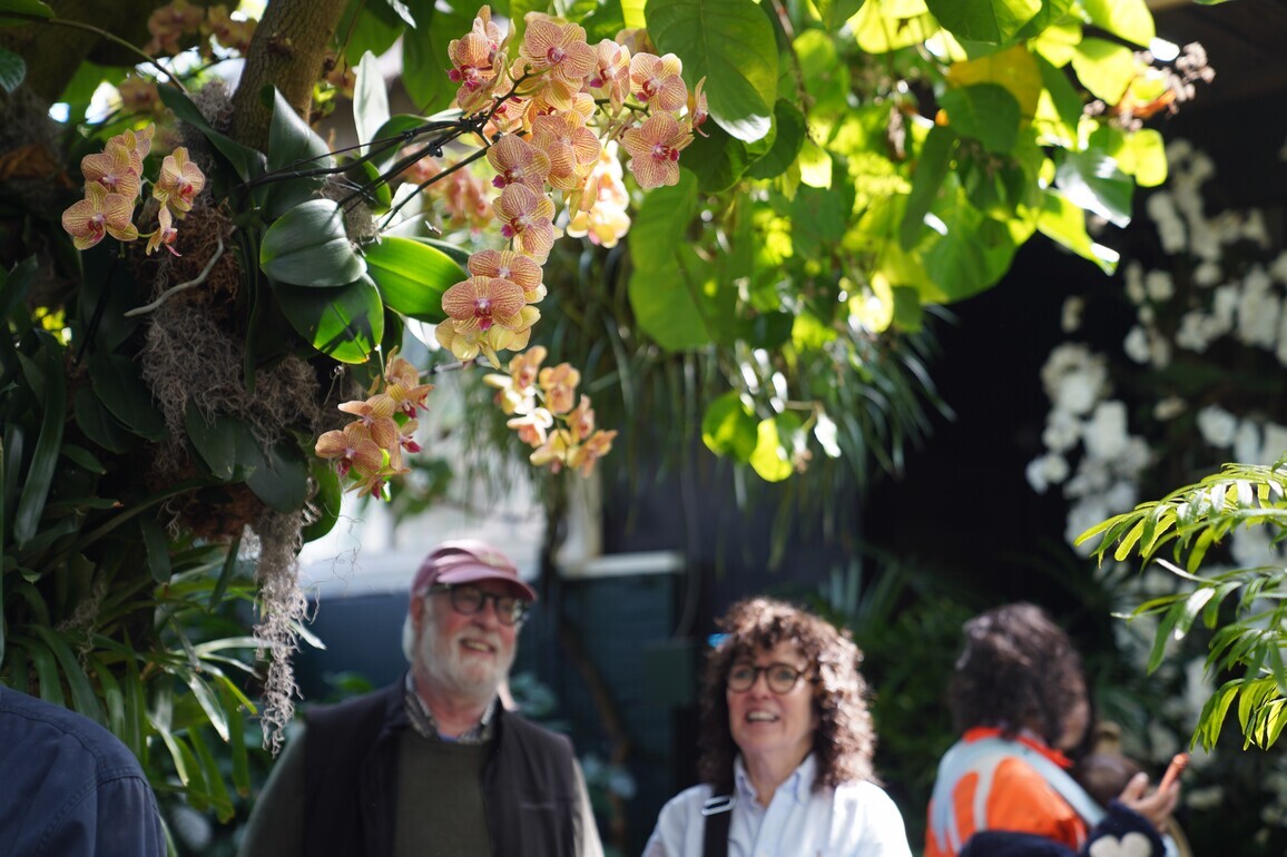 U.S.-NEW YORK-ORCHID SHOW
