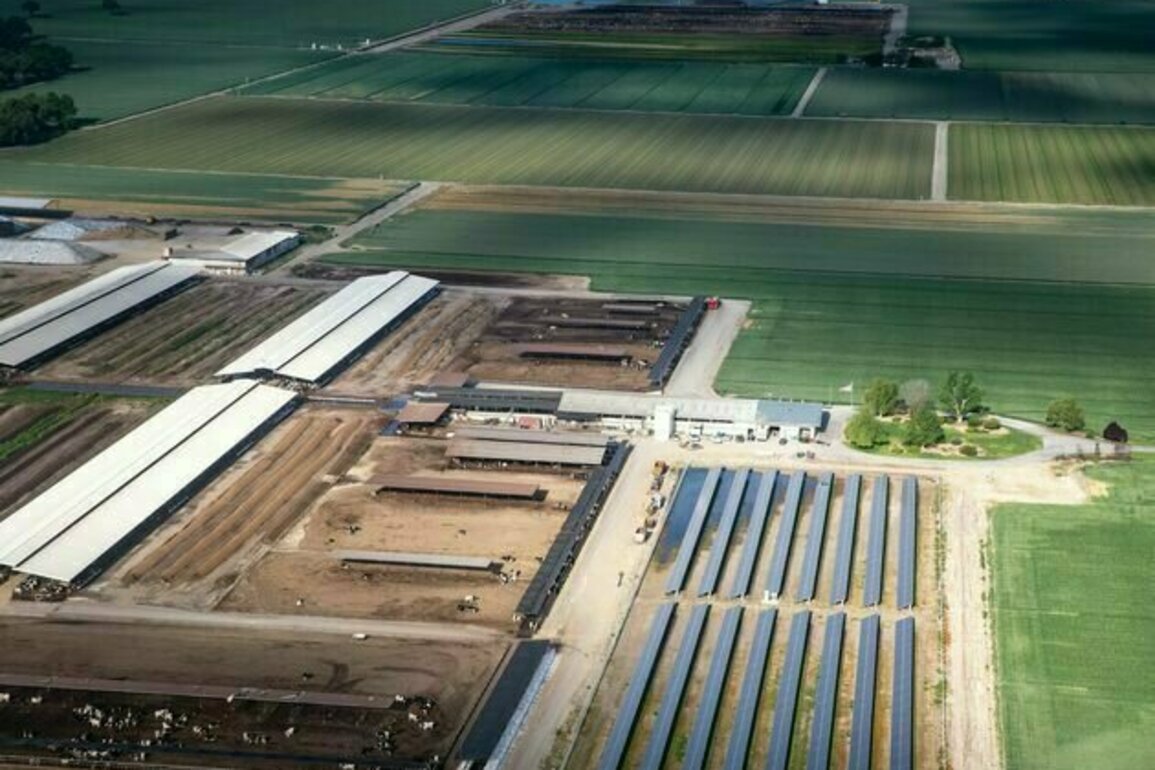 California farmers identify a hot new cash crop: Solar power