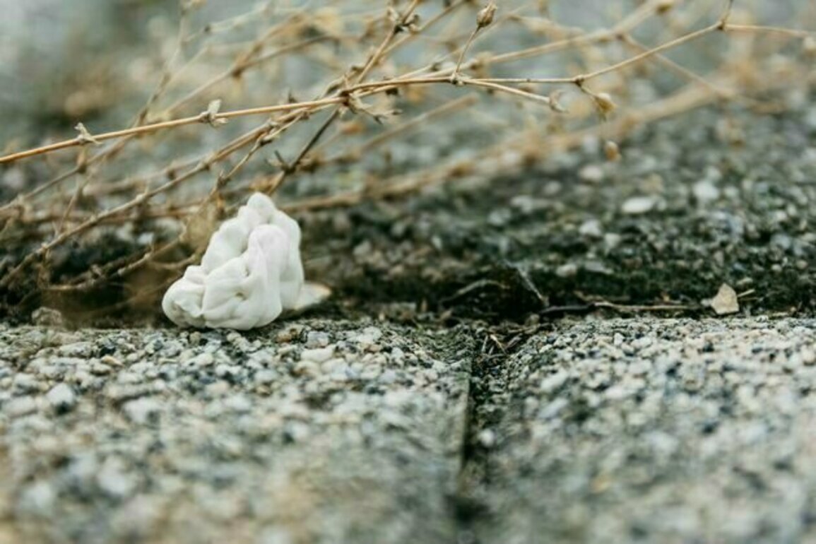 Chewing gum is plastic pollution, not a litter problem