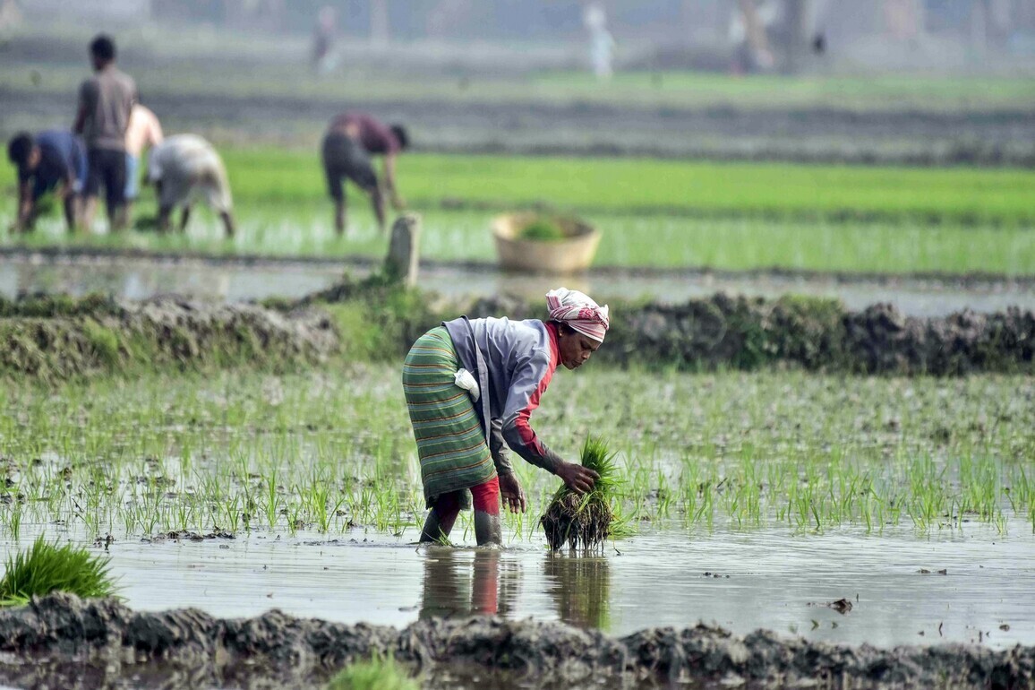Centre identifies degraded forest land across states for restoration under Green Credit Programme