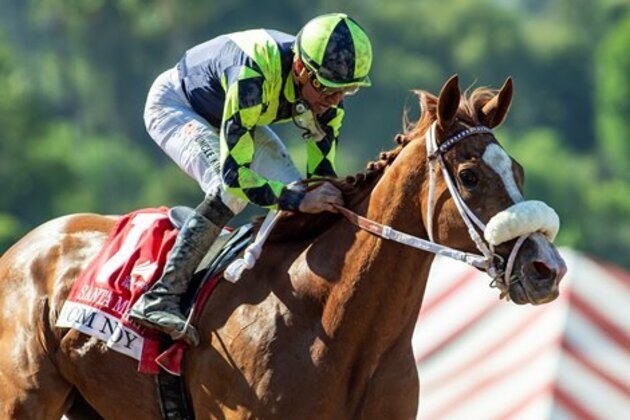 Om N Joy Traces Back to Full Sister of Mr. Prospector - BloodHorse