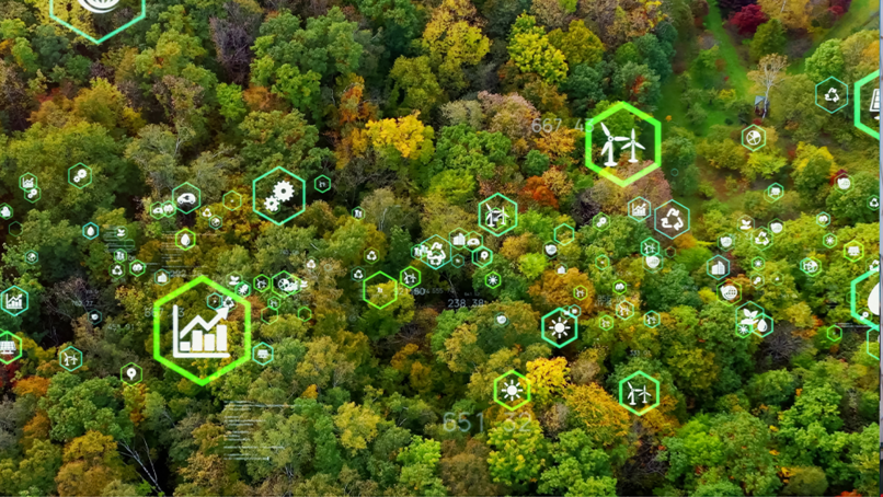 Image: metamorworks/shutterstock.com