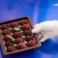Waxberries from China wow German diners after 9,000 km journey
