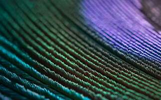 Partner Insight: Paris Agreement - A reflection on net zero ten years on