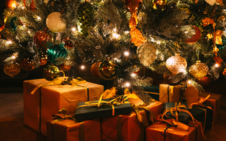 Merry Christmas from Professional Pensions